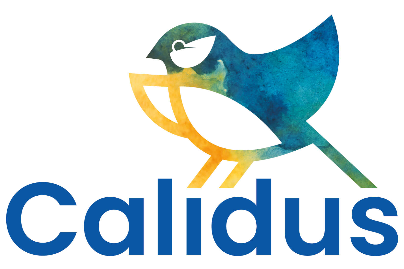 Calidus