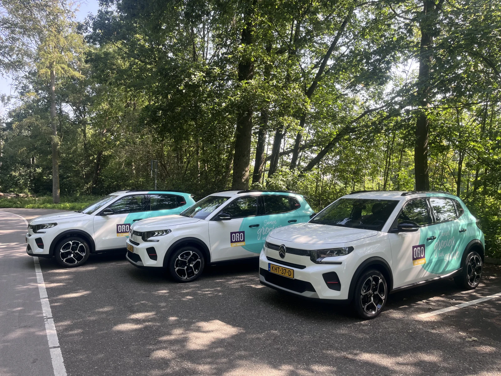 Duurzame mobiliteit voor de zorg